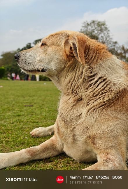 Xiaomi 17 Ultra Main Camera Shots 1