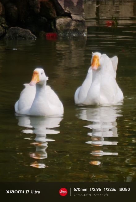 Xiaomi 17 Ultra Periscope Camera Shots 1