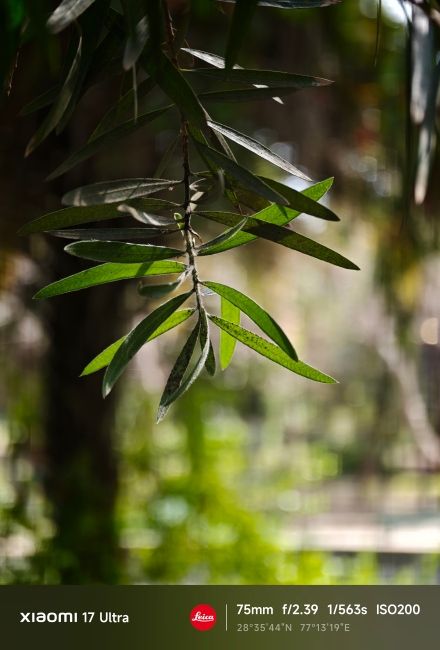 Xiaomi 17 Ultra Periscope Camera Shots 2