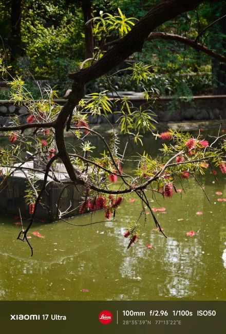 Xiaomi 17 Ultra Periscope Camera Shots 3