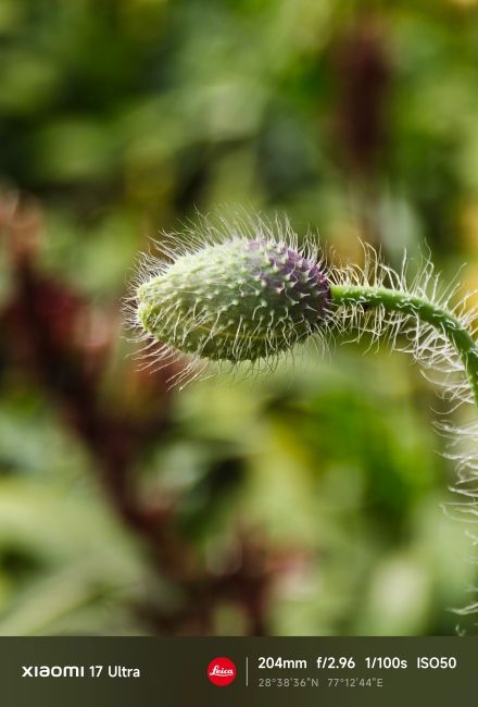 Xiaomi 17 Ultra Periscope Camera Shots 4