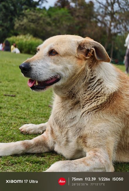 Xiaomi 17 Ultra Periscope Camera Shots 6