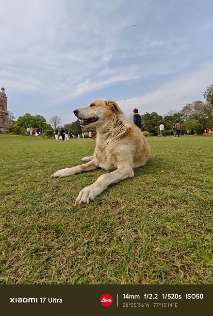 Xiaomi 17 Ultra Ultrawide Camera Shots 1