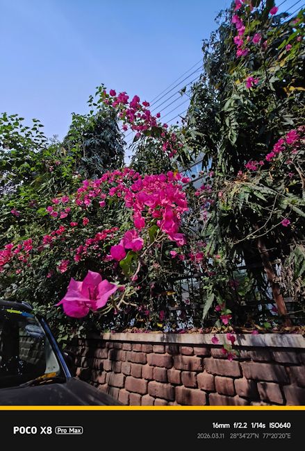 Poco X8 Pro Max 16mm flower shot