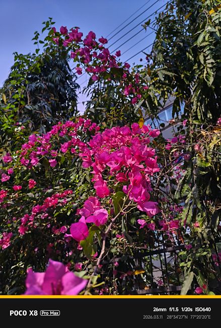 Poco X8 Pro Max 26mm flower shot