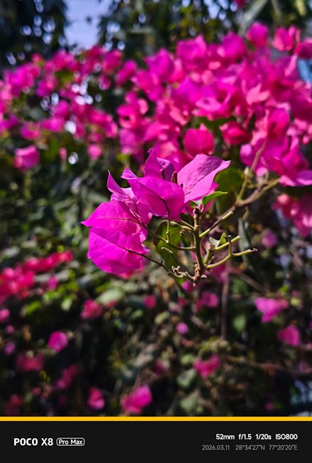 Poco X8 Pro Max 52mm flower shot