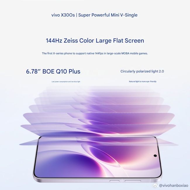 Vivo X300s display details