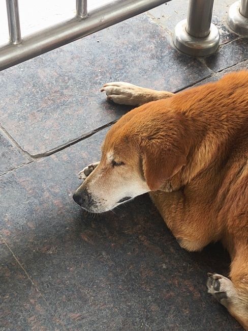 Ai Plus Nova 2 Ultra 5G main camera shot 1