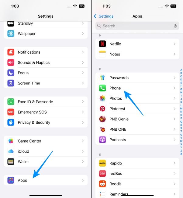 go to the Phone option in the iPhone settings
