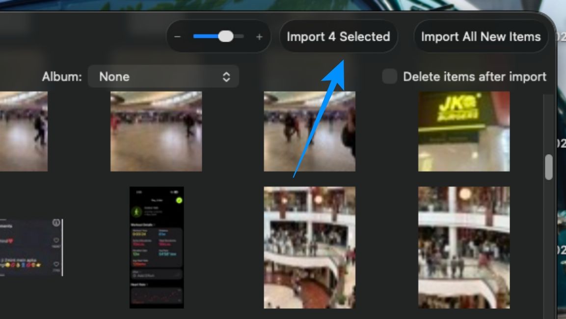 Select Import Items on Mac Photos App