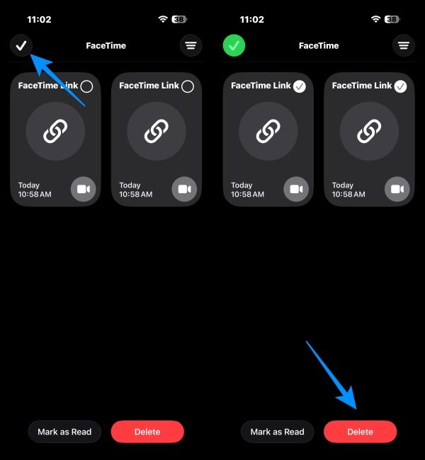 Select all FaceTime Calls and tap Delete