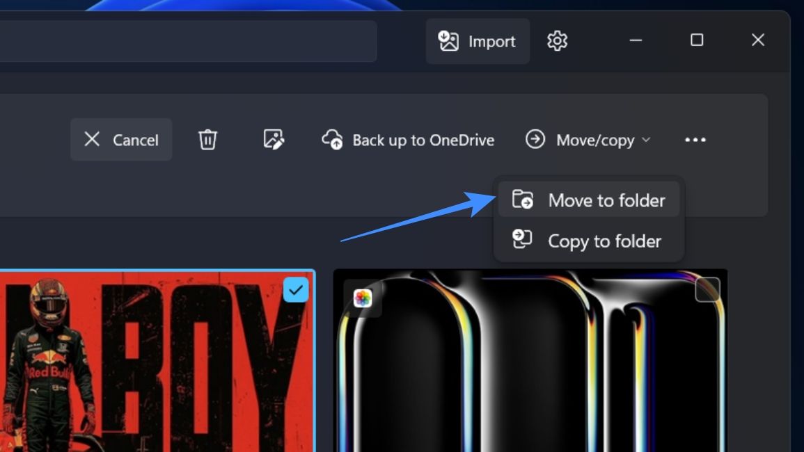 Select the iCloud photo and choose the move option from the top to transfer the image