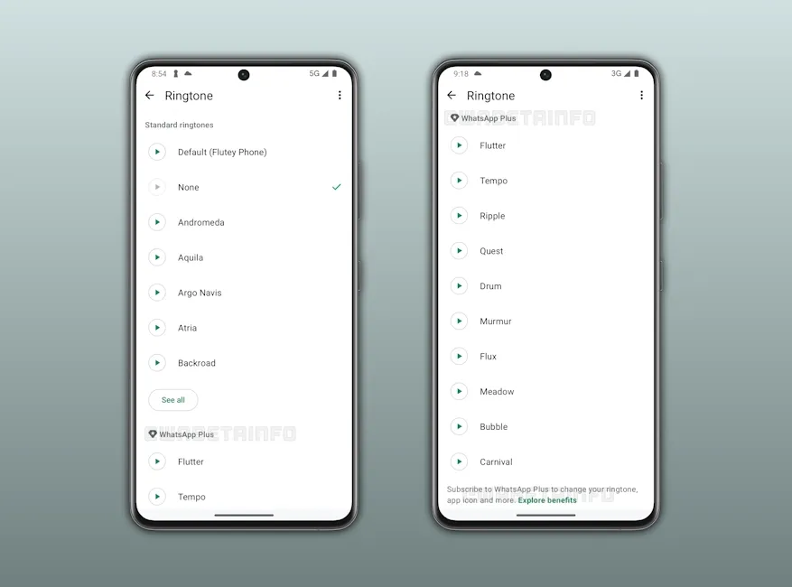WhatsApp Plus with new ringtones