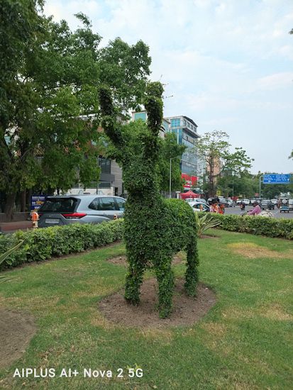 Ai+ Nova 2 5G tree statue shot daytime