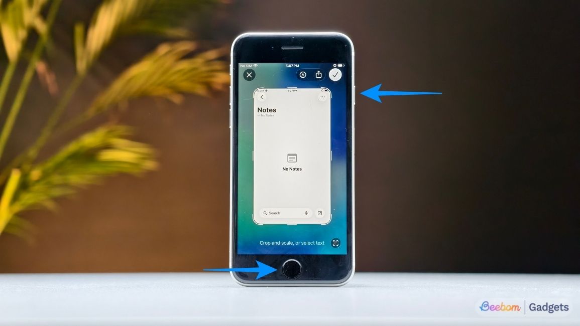 iPhone SE with arrows pointing at power and home button