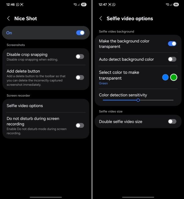one ui screenshot showing nice shot plugin customisation options