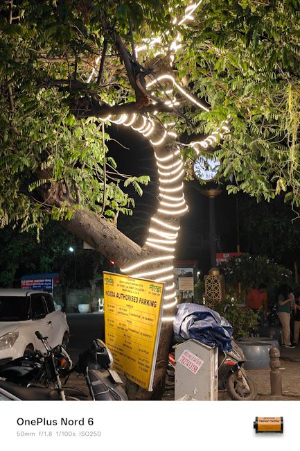 OnePlus Nord 6 50mm tree night shot OnePlus Nord 6 50mm tree night shot