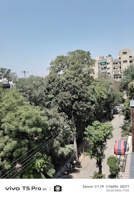 Vivo T5 Pro 26mm tree shot day