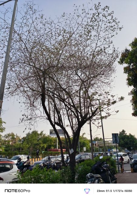 Infinix-Note-60-Pro-Main-Camera-shot-2