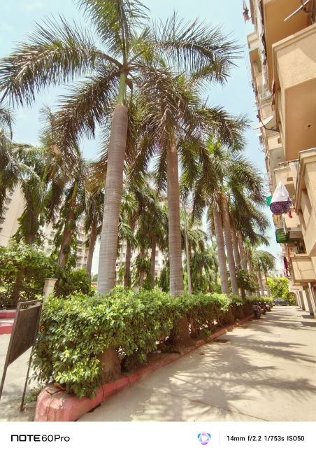 Infinix-Note-60-Pro-Ultrawide-Camera-shot-3