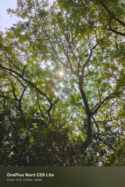 OnePlus Nord CE 6 Lite Main Camera Sample 3