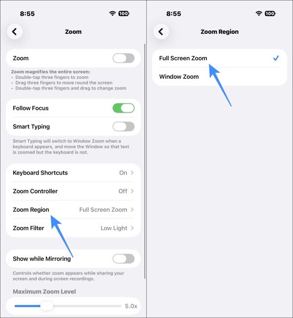 Select iPhone Zoom Region