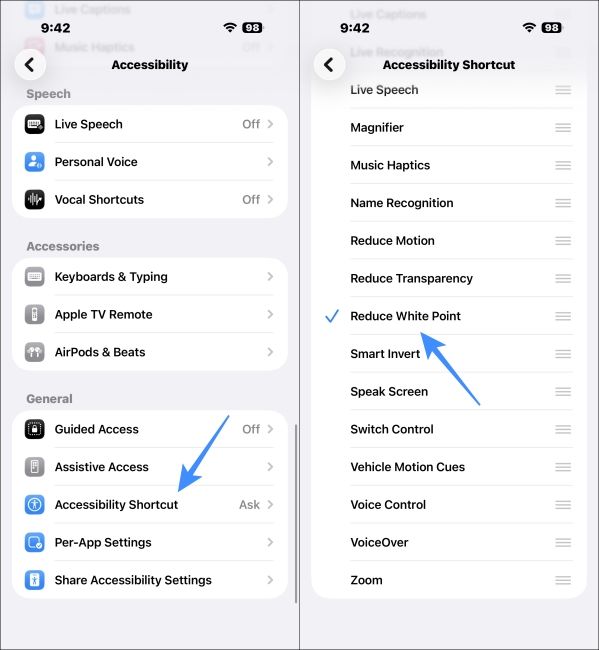 Set Accessibility Shortcut on iPhone