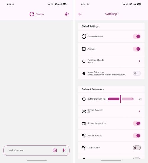 Google COSMO AI Assistant interface