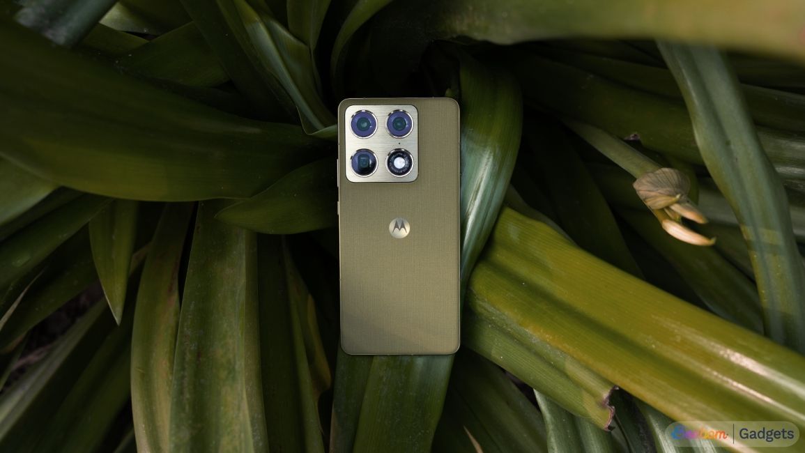shot of Motorola Signature placed on top of green leafy plants