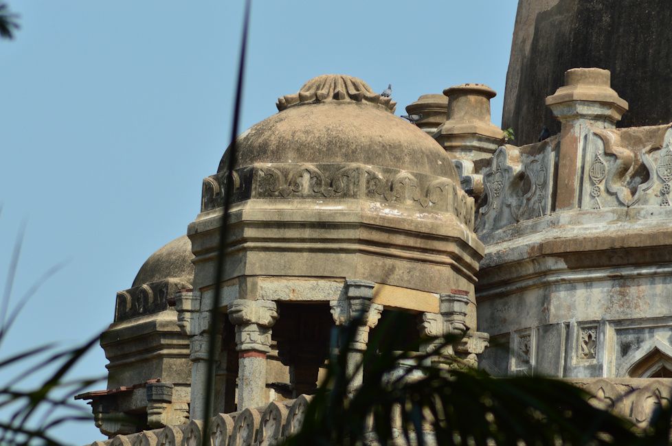 Nikon D3200 tomb shot close up