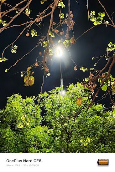 OnePlus Nord CE 6 54mm stall shot trees