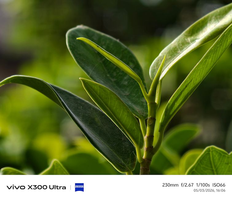 Vivo X300 Ultra 230mm plant day shot