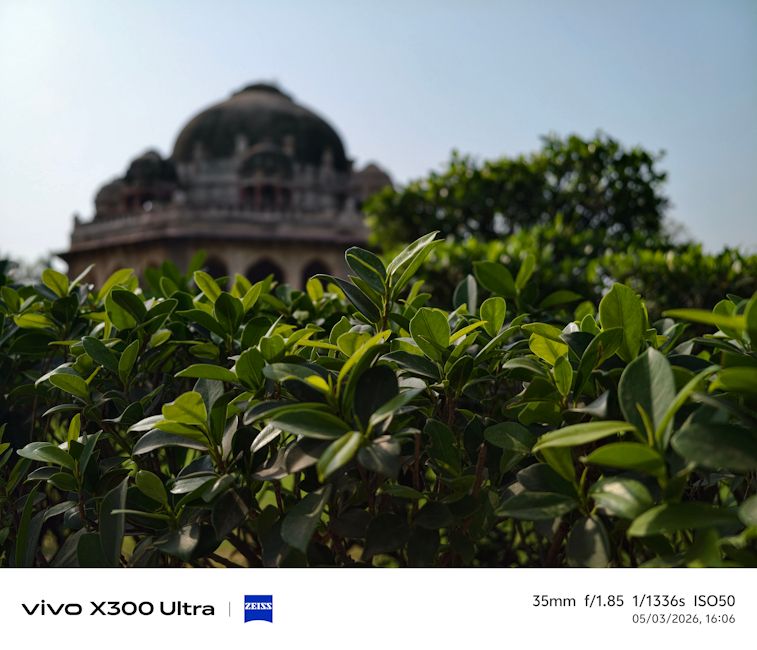 Vivo X300 Ultra 35mm plant day shot