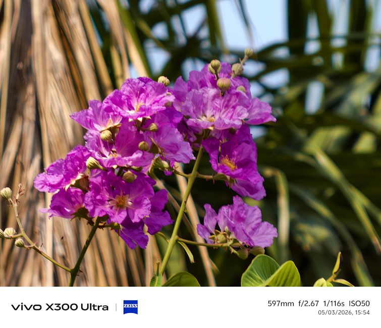 Vivo X300 Ultra flower shot day