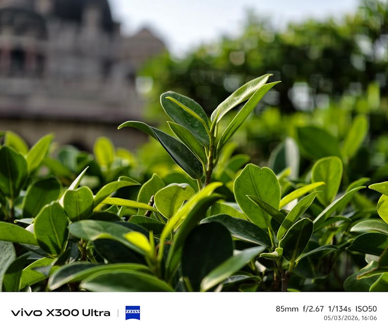Vivo X300 Ultra 85mm plant day shot
