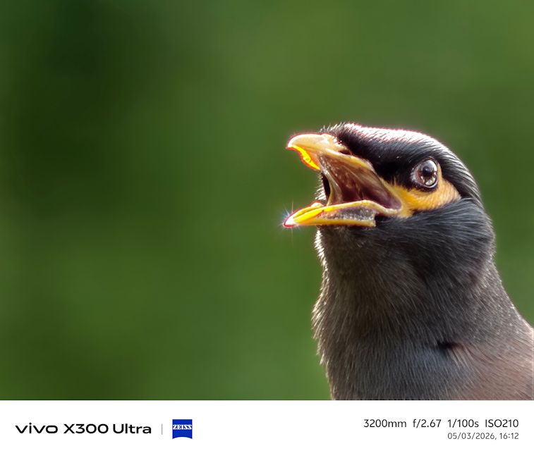 Vivo X300 Ultra bird shot day super close up