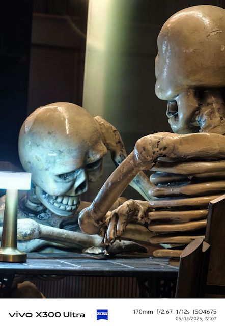 Vivo X300 Ultra 170mm skeleton shot night