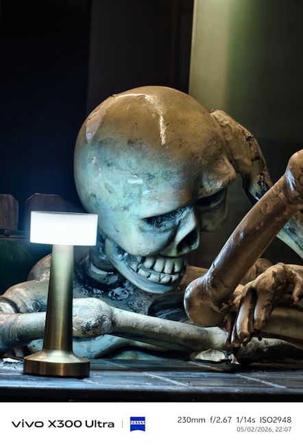 Vivo X300 Ultra 230mm skeleton shot night