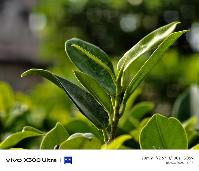 Vivo X300 Ultra leaf shot close up day