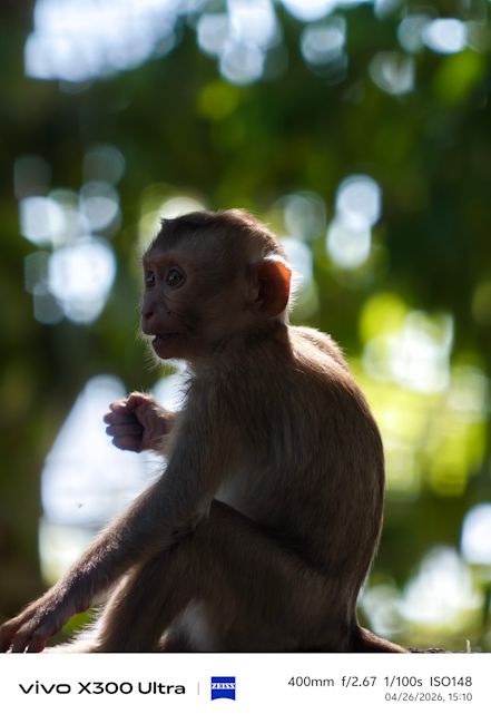 Vivo X300 Ultra 400mm monkey shot day