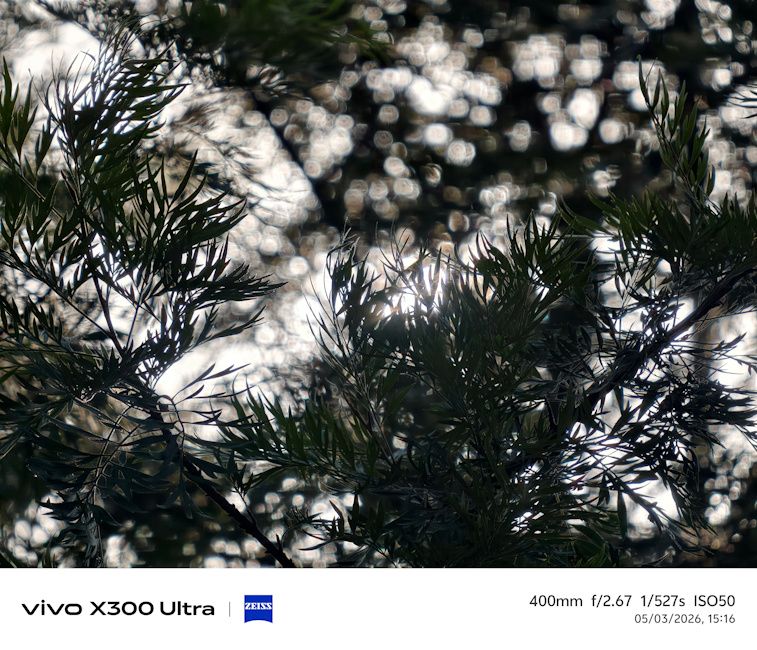 Vivo X300 Ultra trees shot day