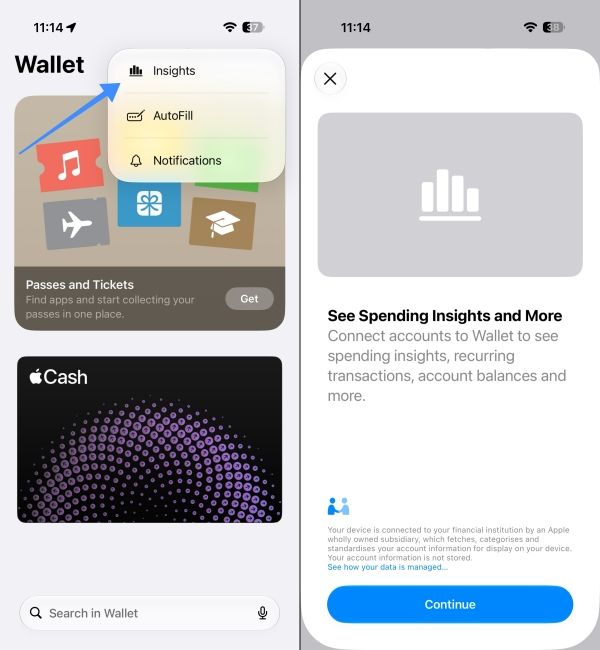 Wallet Insights feature showcase in the Apple Wallet app