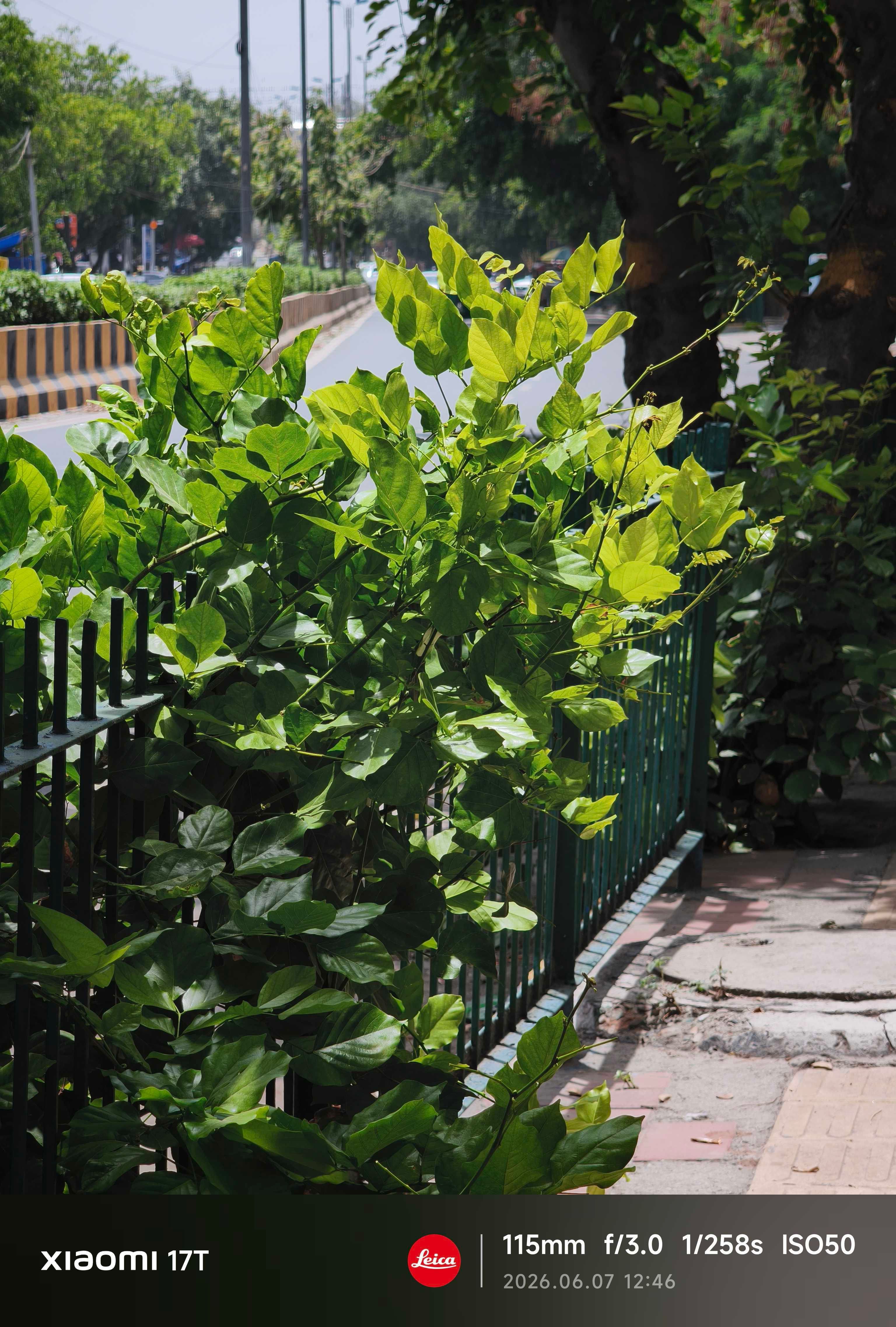 Xiaomi 17T Periscope Camera Shots 1