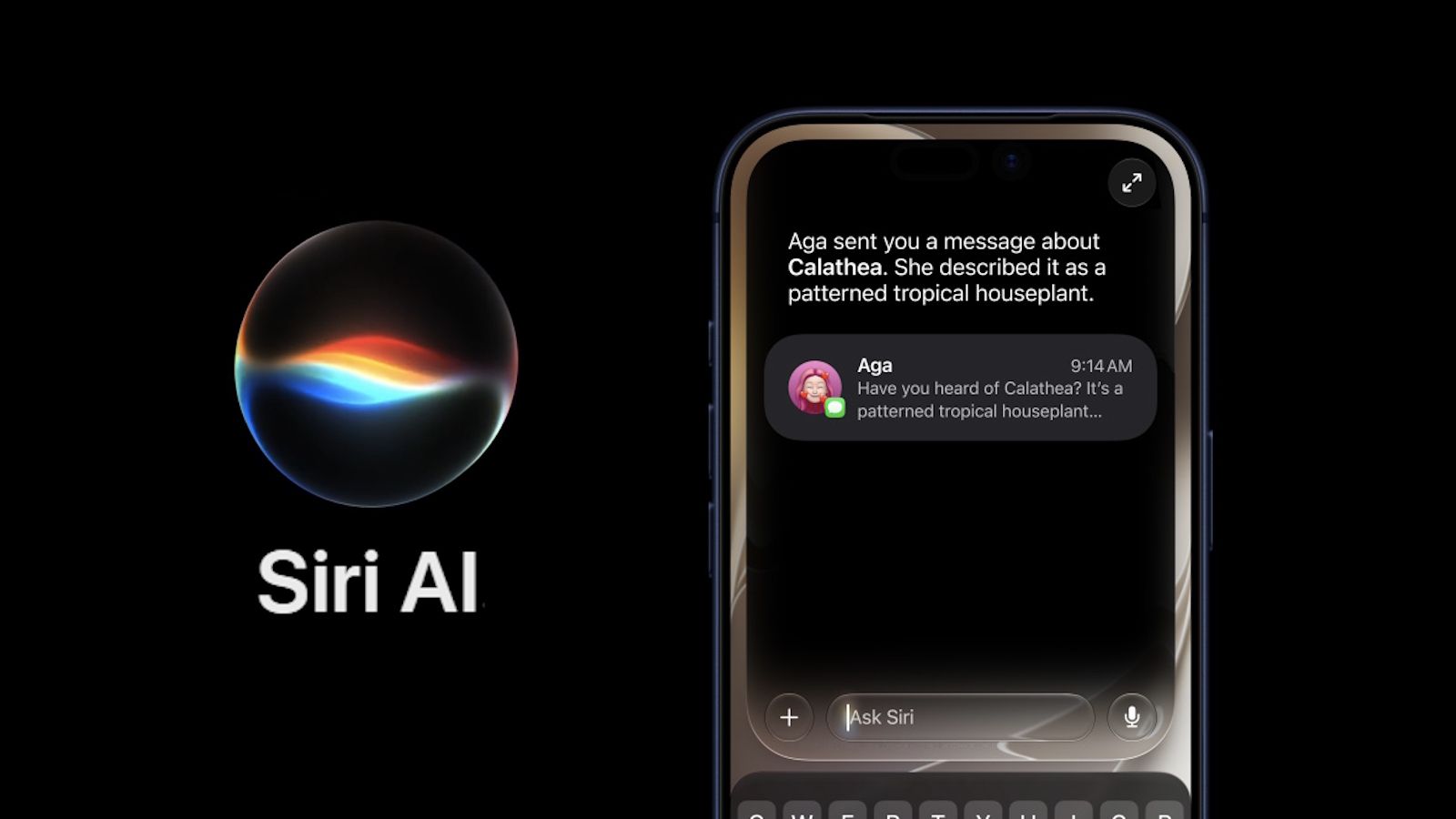 Siri app in iOS 27 showcased Siri app in iOS 27 showcased