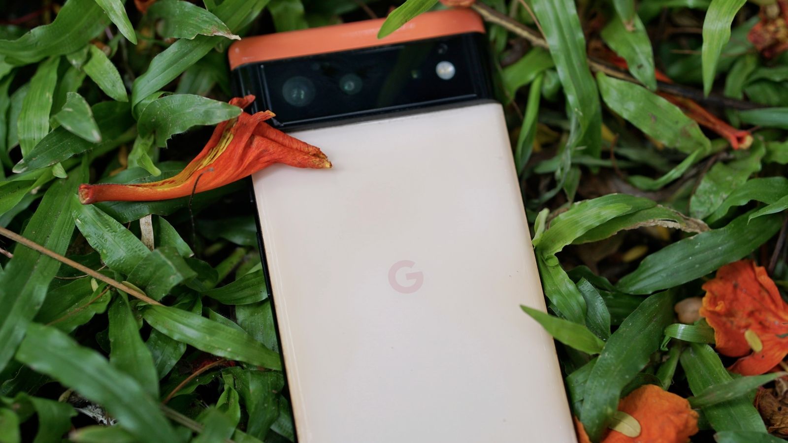 Google Pixel 6 smartphone from the back in coral colourway Google Pixel 6 smartphone from the back in coral colourway