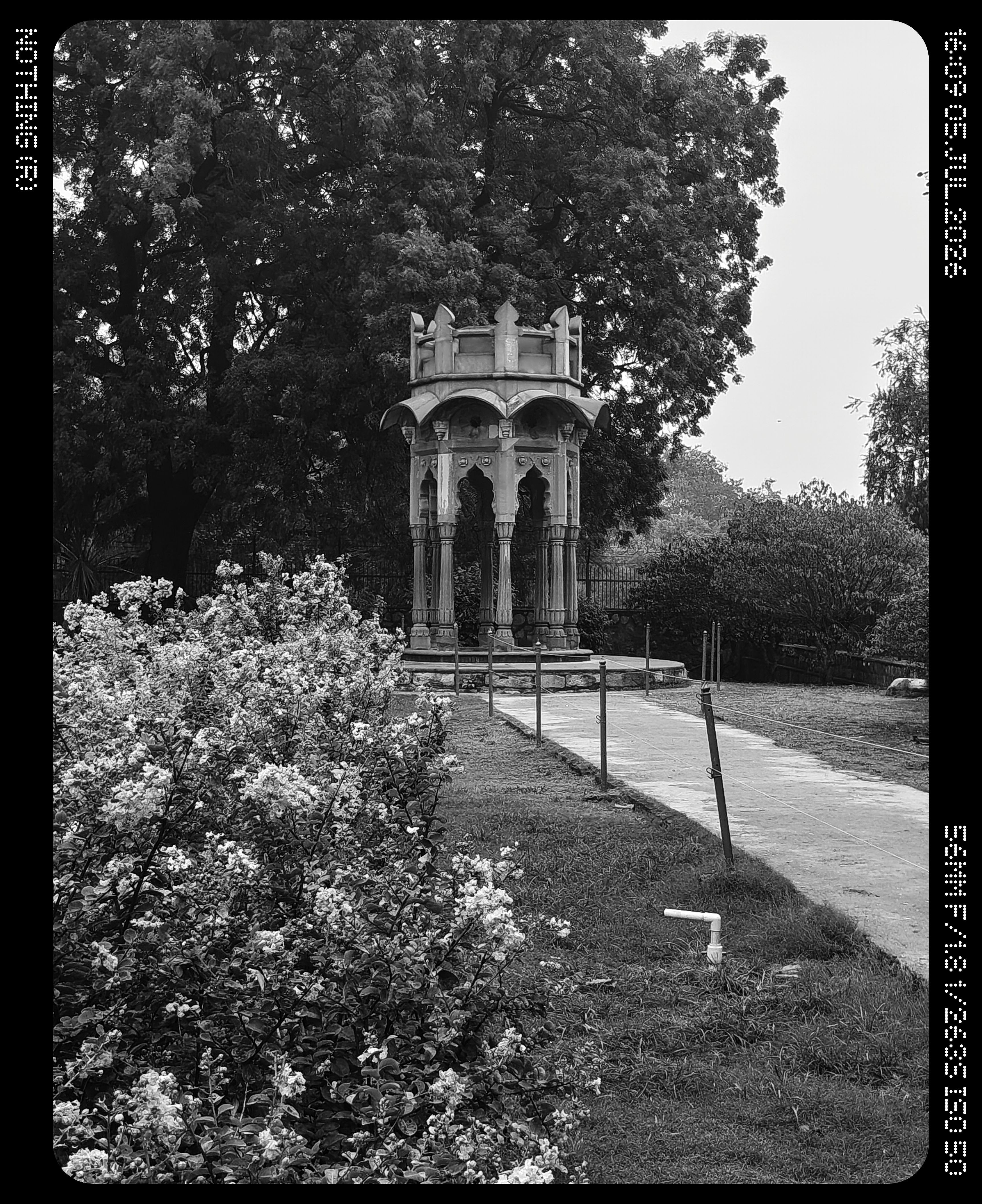 Nothing Phone 4b Camera B&W Shots 2
