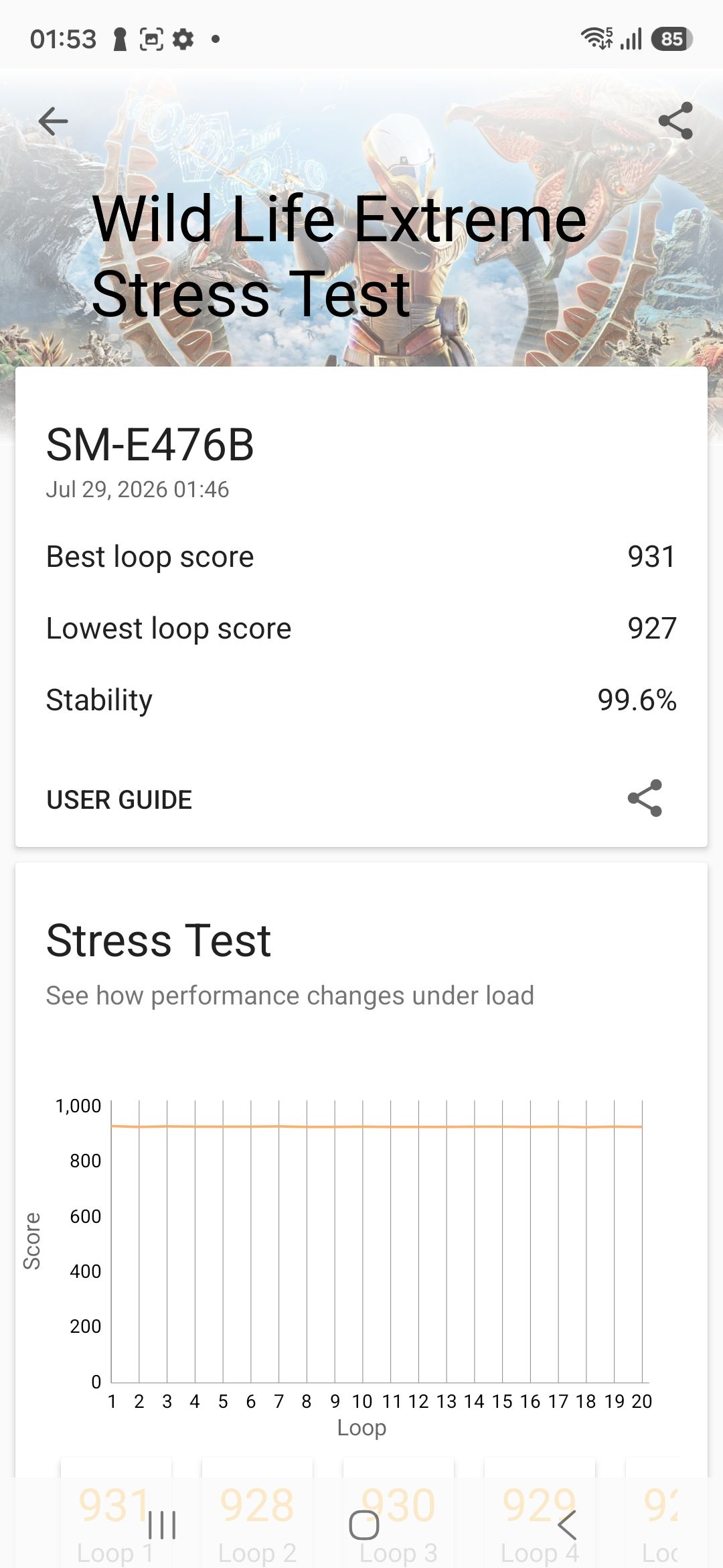 Galaxy F70 Pro Wild Life Extreme Stress Test