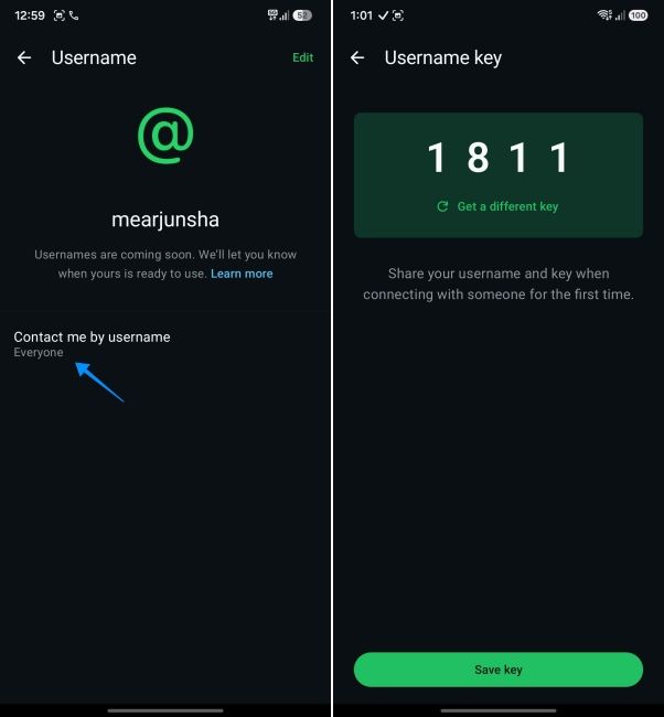 screenshot from an android phone showing how to set who can control you by your whatsapp username