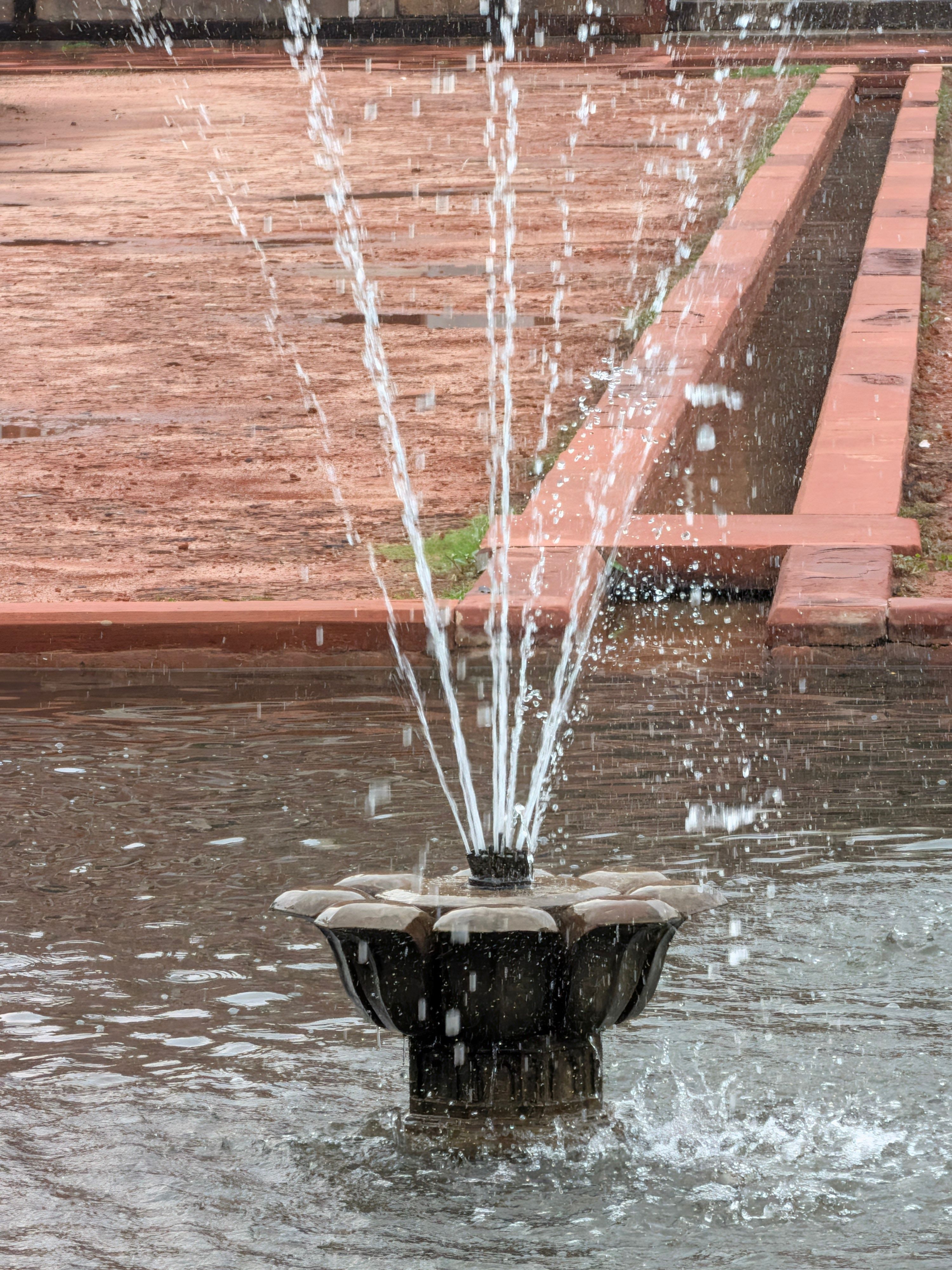 Pixel 11 Pro Fold Main Camera Shots 7