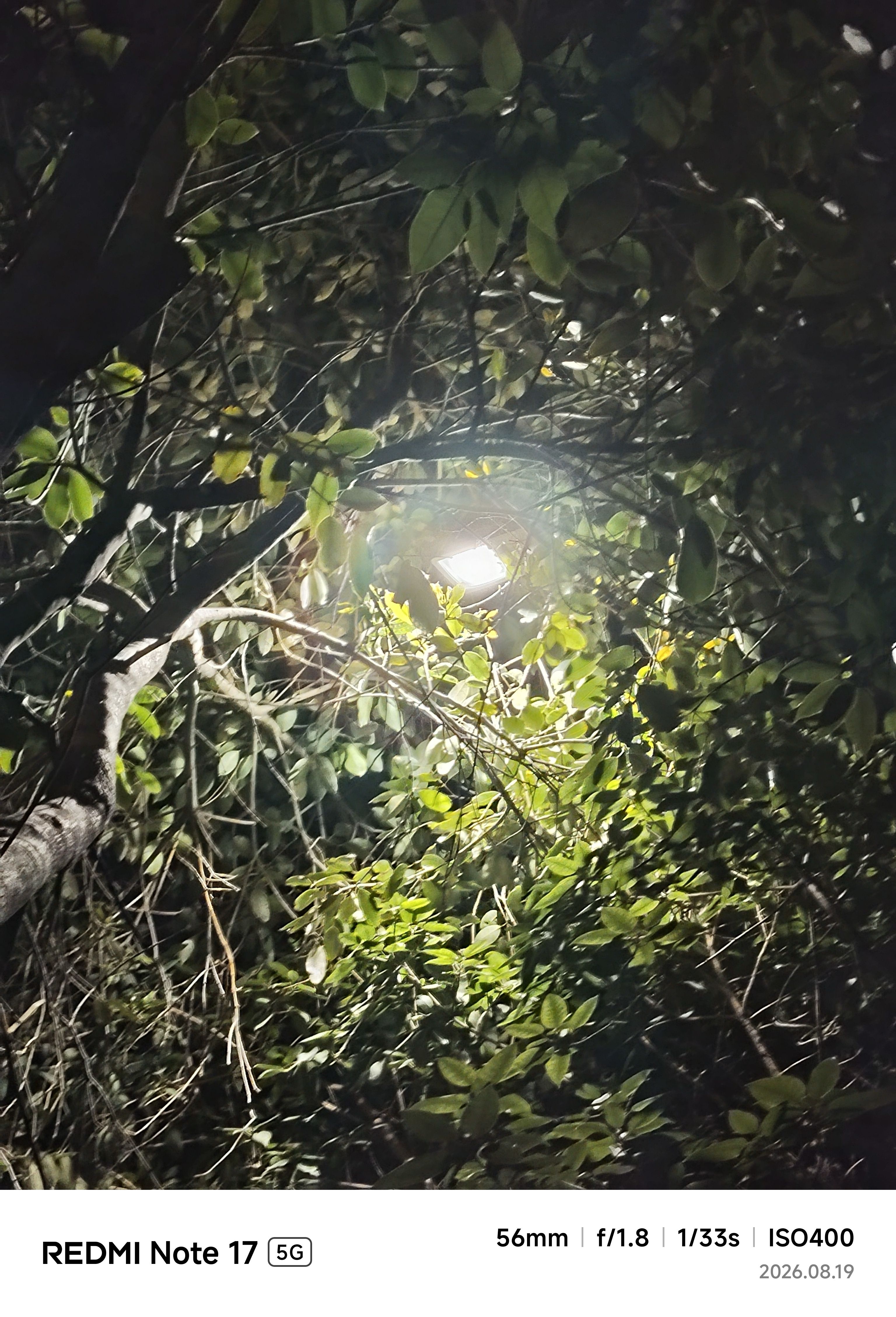 Redmi Note 17 Main Camera Sample 9 Redmi Note 17 Main Camera Sample 9
